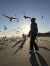 Woman feeding the birds at sunset on Tybee Island - GEORGIA - USA Royalty Free Stock Photo